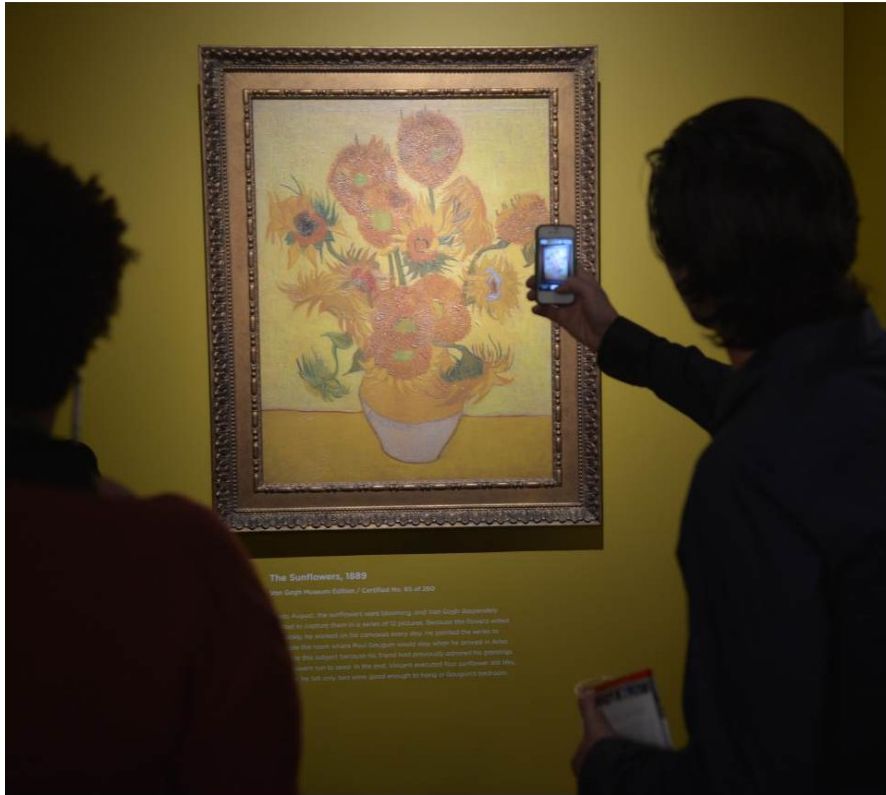 Van Gogh on Tour — visual 1